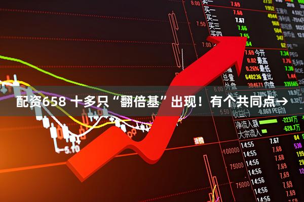 配资658 十多只“翻倍基”出现！有个共同点→