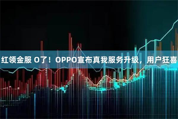 红领金服 O了！OPPO宣布真我服务升级，用户狂喜